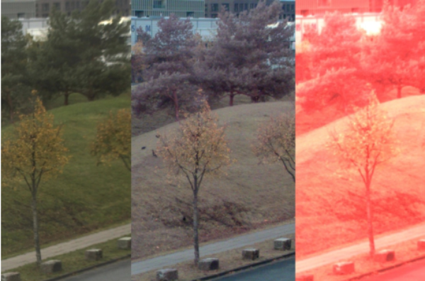 何时（以及为什么）选择无红外线滤光片的彩色相机